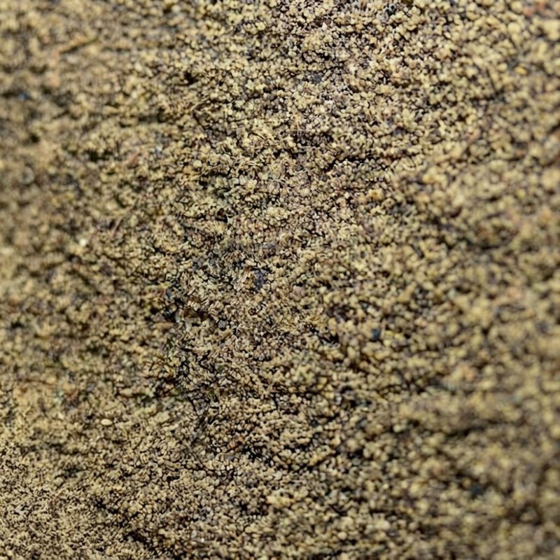 Fine Ground Black Pepper | The Classic Allround Spice
